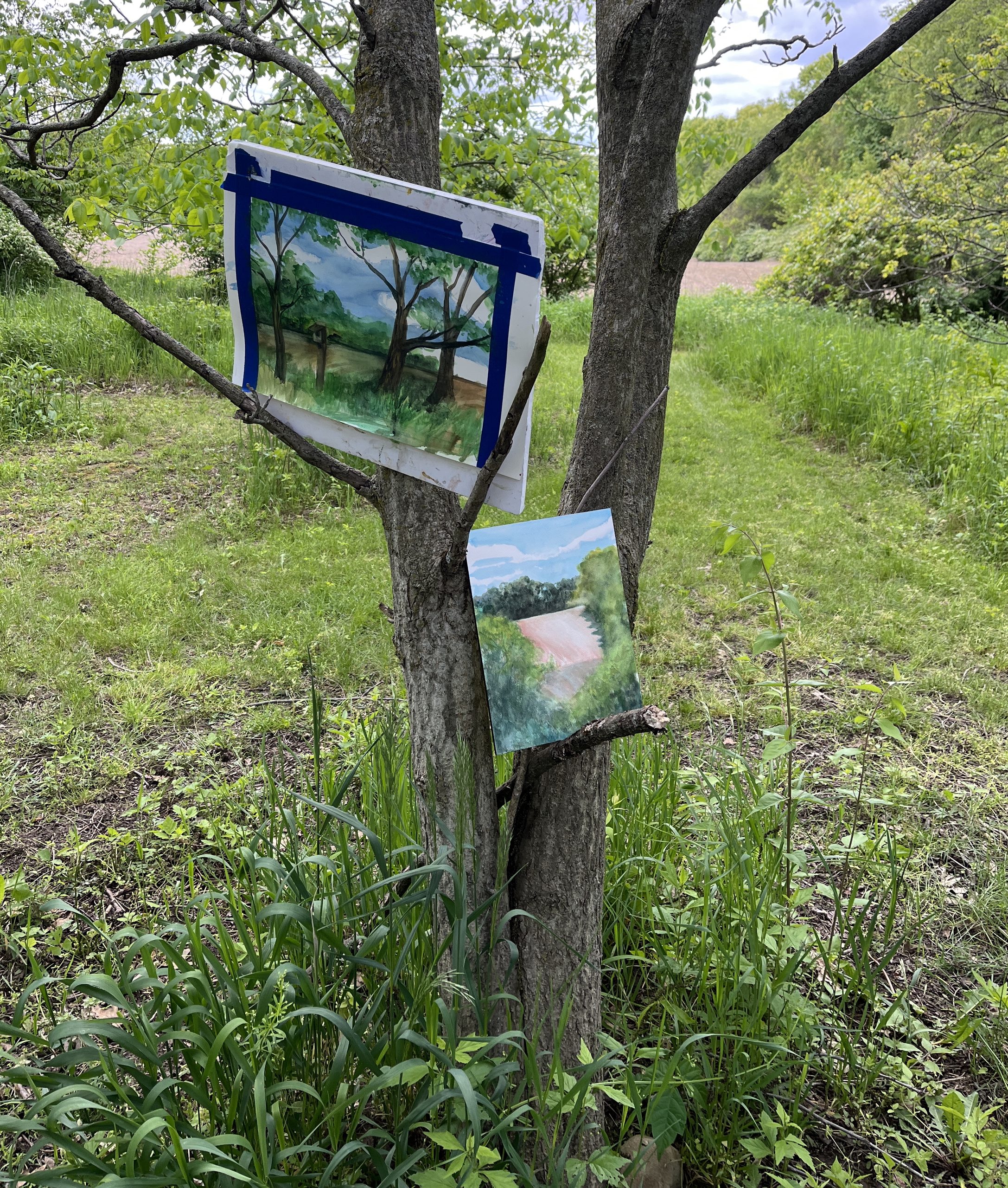 Tree easel